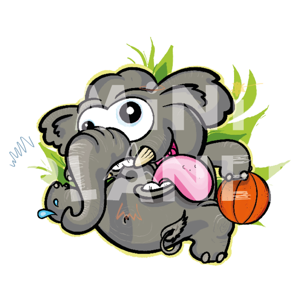 Bügelbild: Elefant mit Basketball