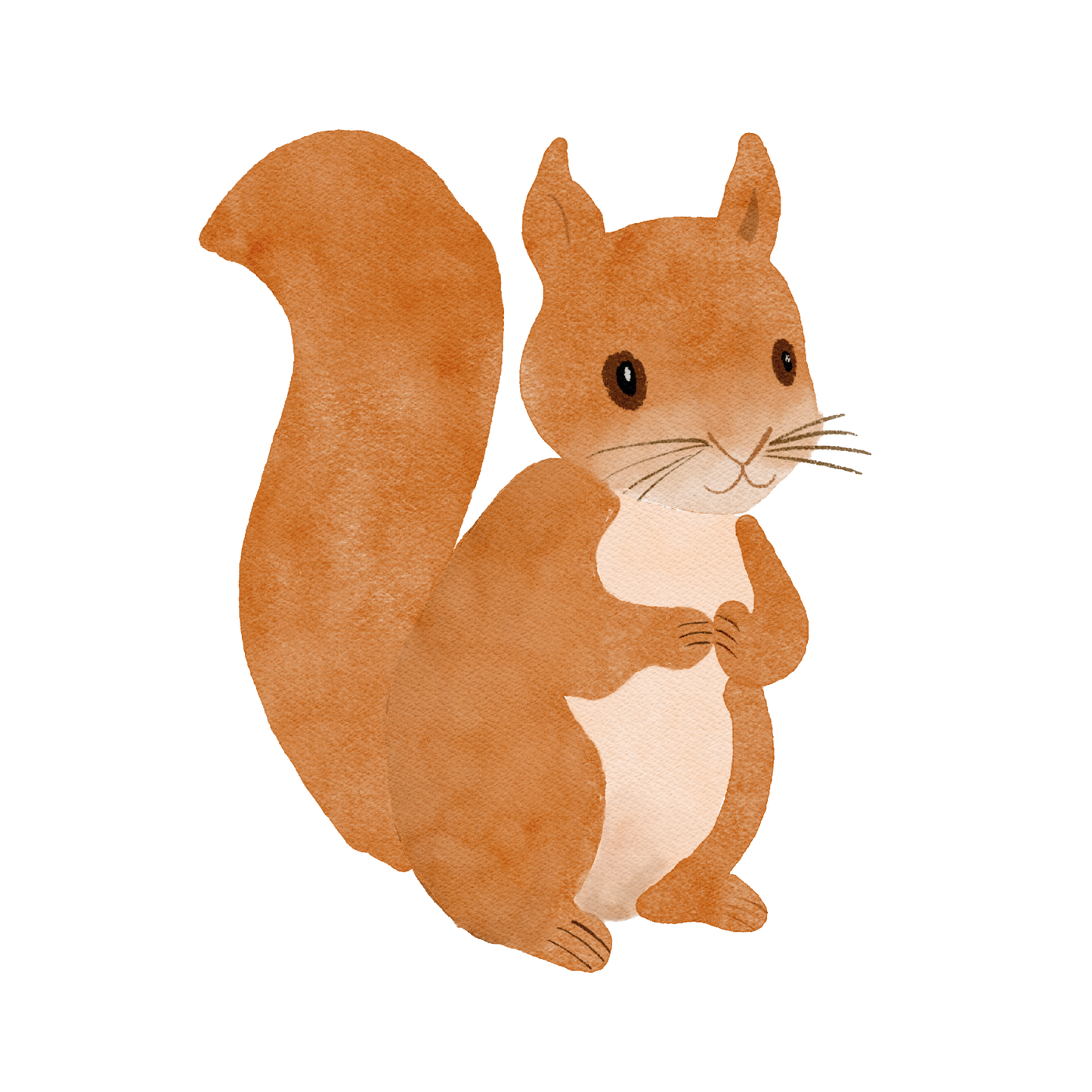 Bügelbild: Eichhörnchen