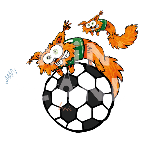 Bügelbild: Eichhörnchen mit Fußball