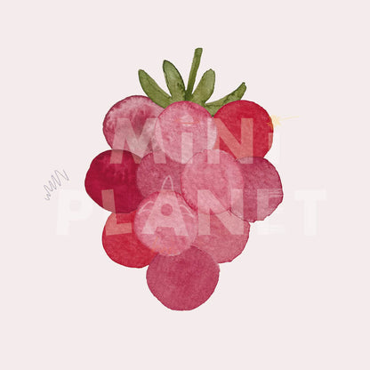 Bügelbild: Himbeere