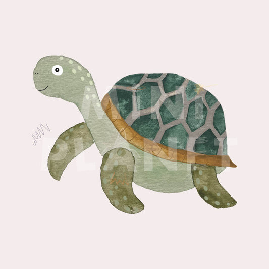 Bügelbild: Schildkröte