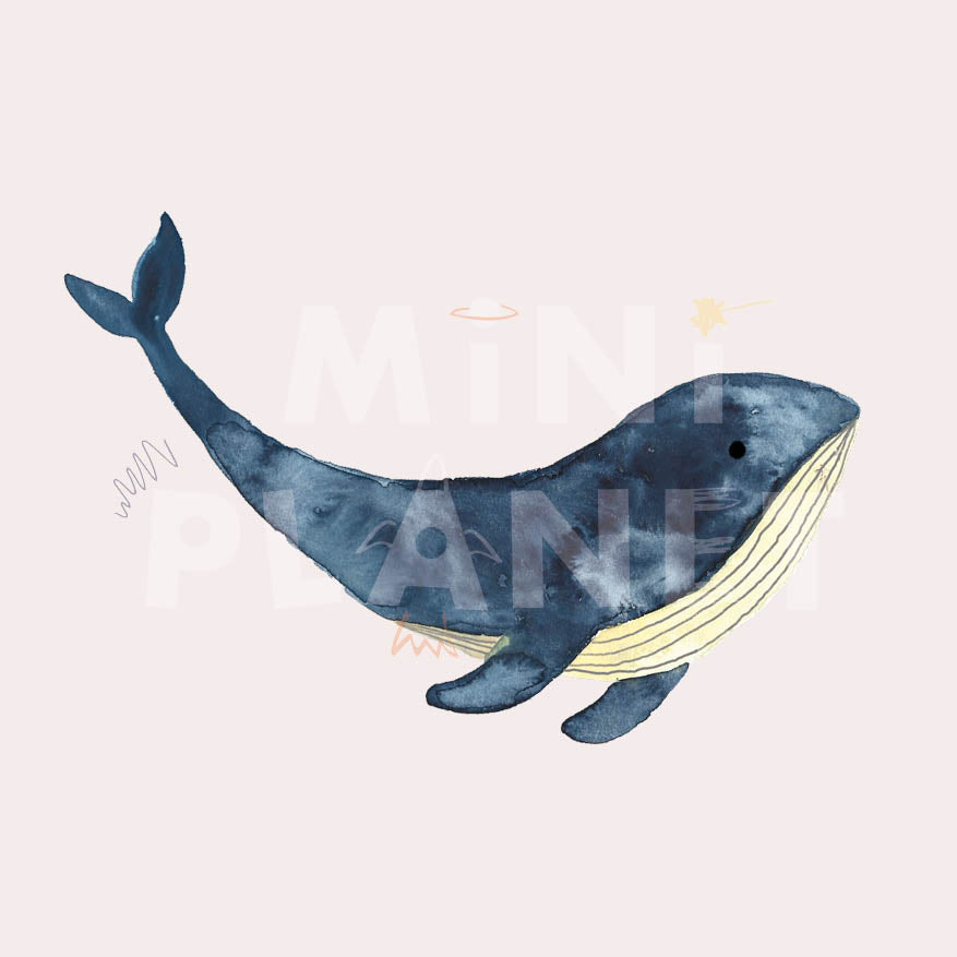 Bügelbild: Großer Wal (Groß)