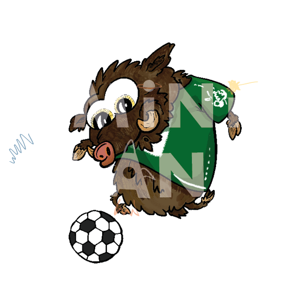 Bügelbild: Wildschwein mit Fussball