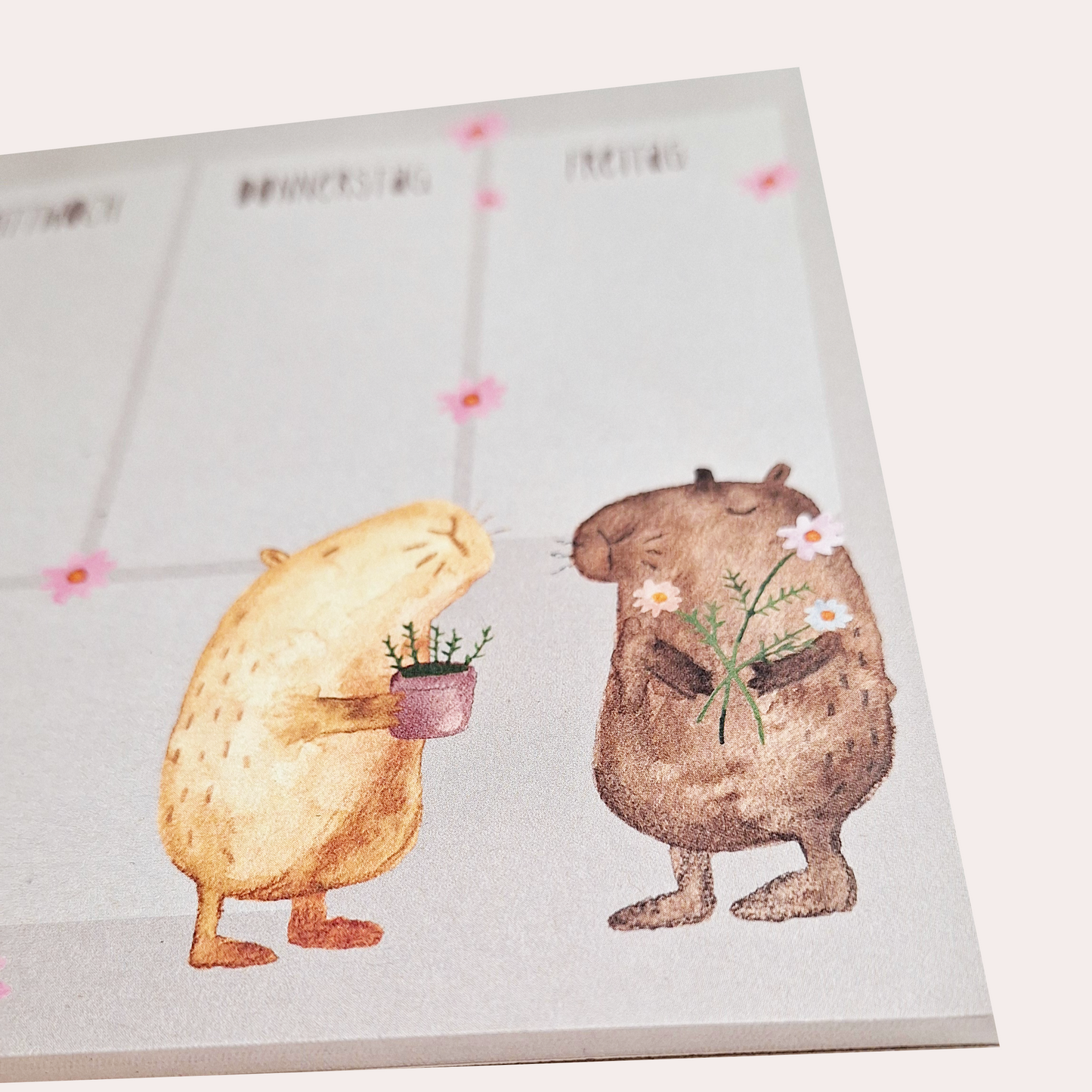 Wochenplaner: Wombats (A5)