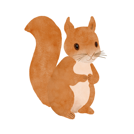 Bügelbild: Eichhörnchen